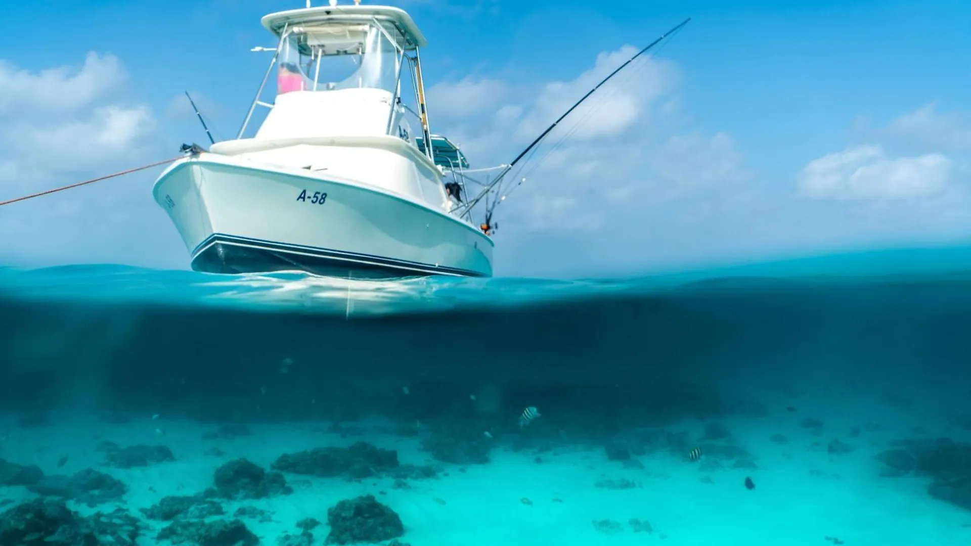 Arubas Life 407 Lejlighed Noord 0*,  Aruba