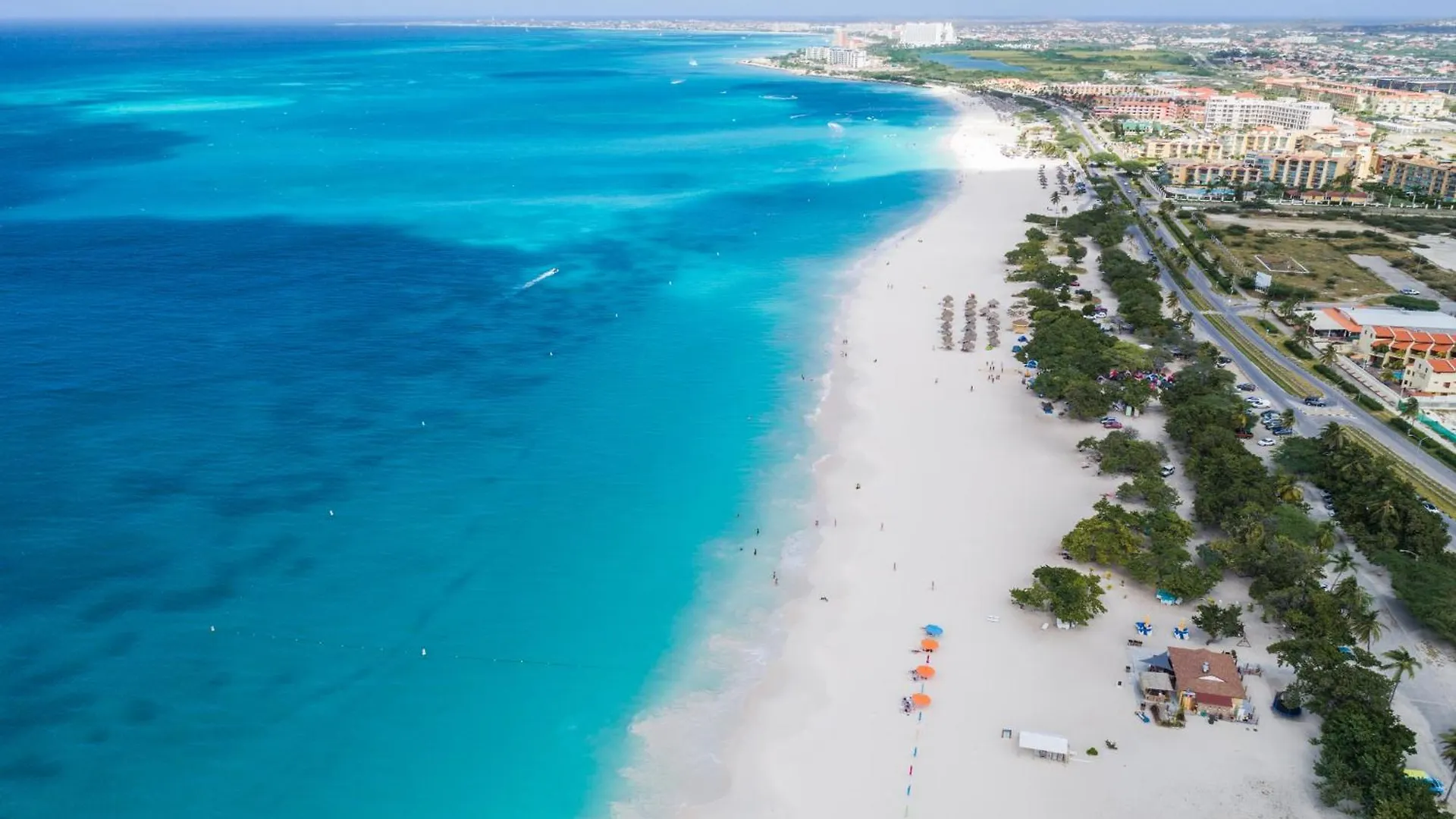 Arubas Life 407 Lejlighed Noord 0*,  Aruba